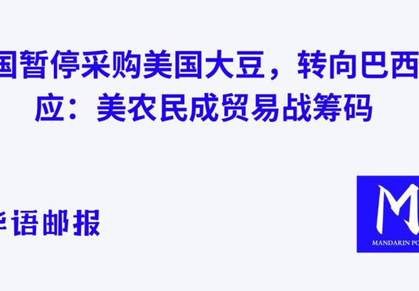 中国暂停采购美国大豆，转向巴西供应：美农民成贸易战筹码